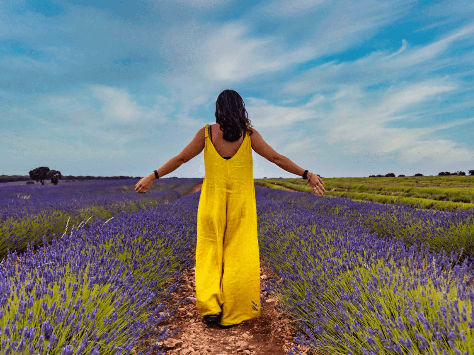 foto servicio lavanda opti